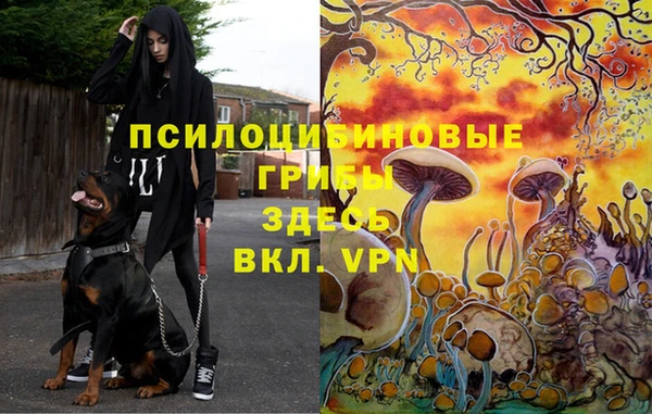 мяу мяу мука Абдулино