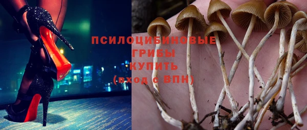 Альфа ПВП Абаза