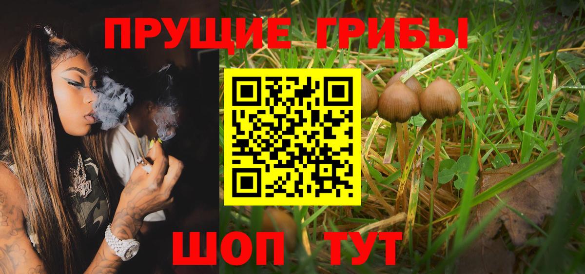 Псилоцибиновые грибы Cubensis  Вход с VPN  Шахты  Псилоцибиновые грибы Psilocybine cubensis 
